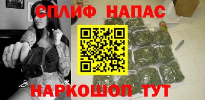 МДПВ Камышлов