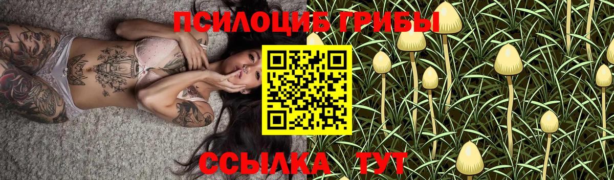 Галлюциногенные грибы Cubensis  Вход с VPN  Котлас 