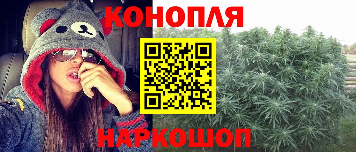Каннабис гибрид  Канабис OG Kush  Вход с VPN  Котлас  Каннабис планчик 